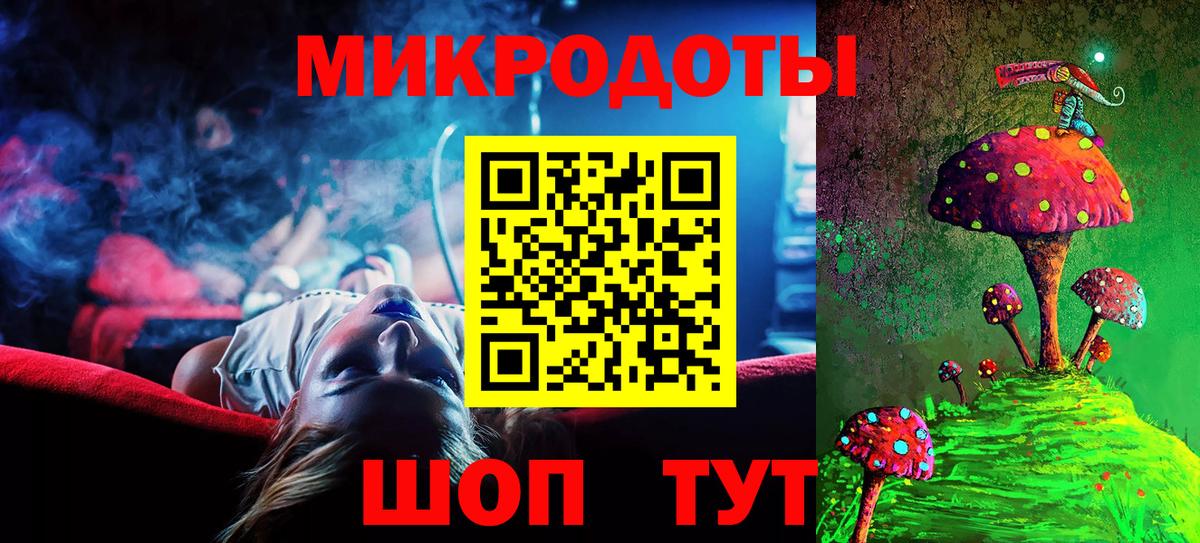 Псилоцибиновые грибы Psilocybine cubensis Гулькевичи